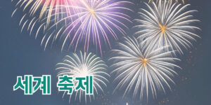 세계 축제