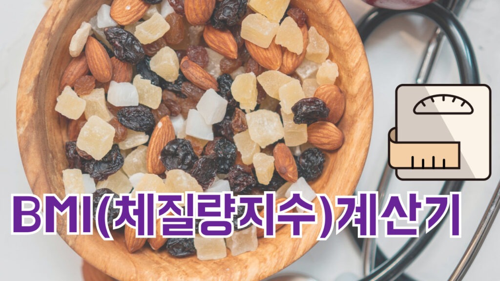 BMI 체질량지수 계산기