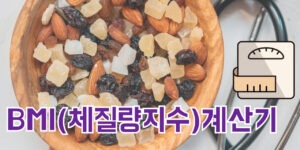 BMI 체질량지수 계산기