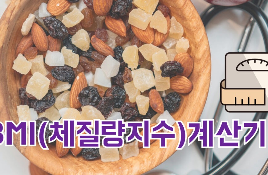 BMI 체질량지수 계산기