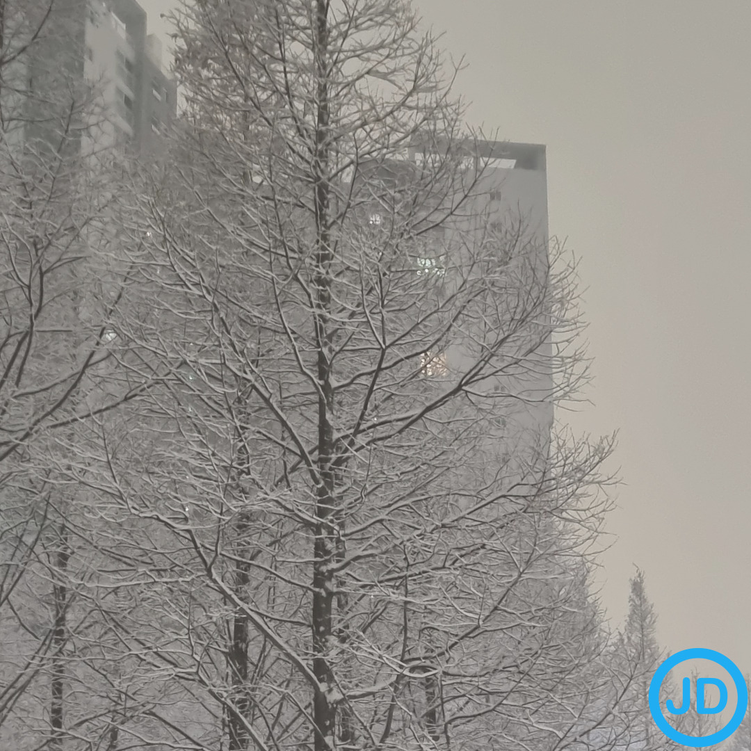 자동차세 연납 신청방법 꿀팁 10가지 – 초보자도 바로 적용 가능