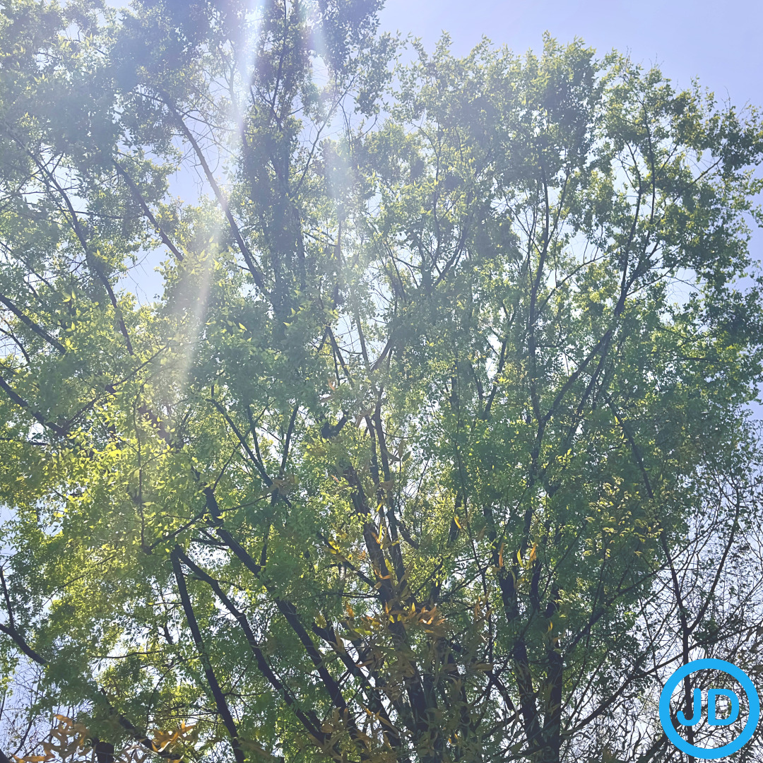 건강보험 피부양자 등록방법 총정리 2025 최신판 – 지금 꼭 알아야 할 팁