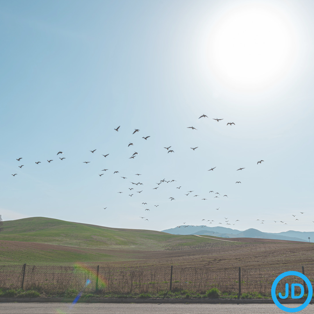 Affordable stays in Temecula under $150 + Explore Balloon Rides & Wine Country