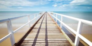 2026 전국 매화 개화시기 총정리 언제 만개? 광양 구례 양산 순천 매화 명소 + 사진 스팟 + 드라이브 코스까지 한번에